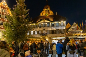 Weihnachtsmarkt  u. die Turmbläser
